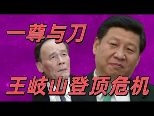 王岐山传3,王岐山的副总理生涯,他依靠谁最终登顶,为习近平操刀反腐,军中的刘源和王岐山有什么不同。十八大常委已经暗示了定于一尊,王岐山在2016年的后悔是为什么#中共#习近平#盐碱地反贼#反腐