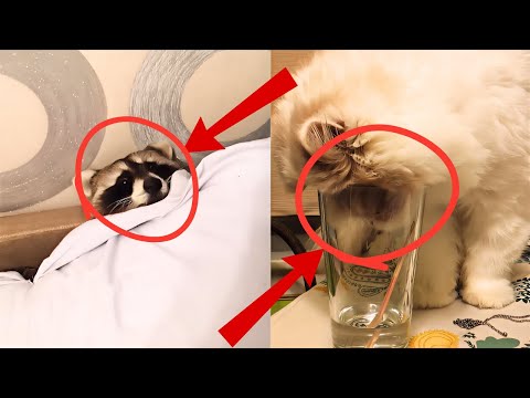 Epic fails compilation #32