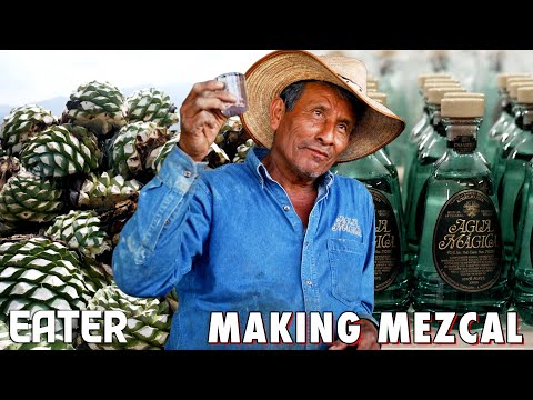 Why It Takes 8 Years to Produce One Batch of Mezcal β Vendors