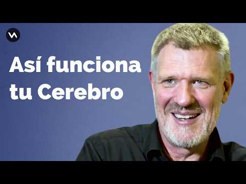 Así funciona tu cerebro. David Bueno, catedrático de neuroeducación