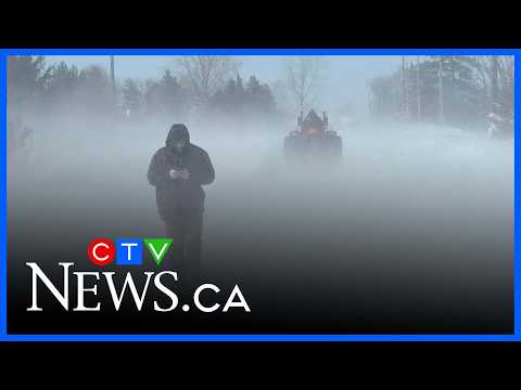 Drivers stranded on Highway 402 in Lambton County after snowstorm