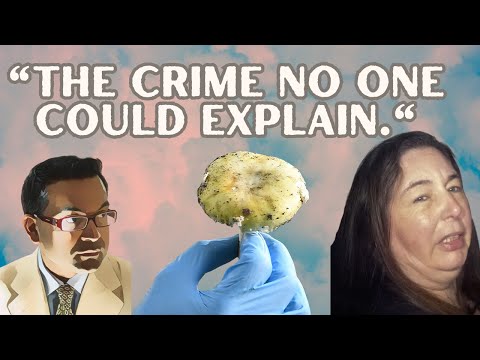 The Mushroom Murder: A Psychiatrist Unpacks the Erin Patterson Murder Motive Mystery