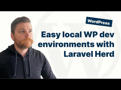 Local WordPress with Herd, DBngin, and WP-CLI