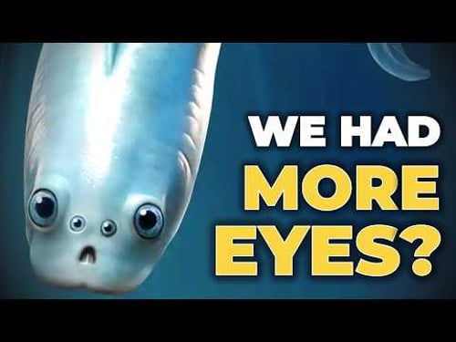 After 11 Years, Scientists Proved The Earliest Vertebrates Had 4 Eyes