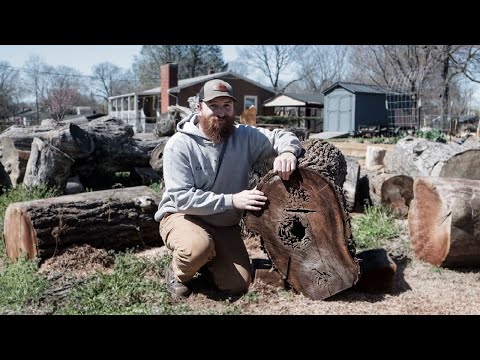 One of the Prettiest Bowls I Have Turned and It Was Made by Ants…