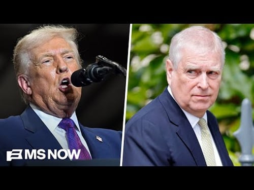 Are Republicans 'cringing' after Trump's Georgia speech?