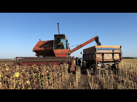 УБОРКА ПОДСОЛНЕЧНИКА ЛЕГЕНДАРНЫМ КОМБАЙНОМ НИВА СК-5 Евралис Белла УРОЖАЙНОСТЬ 17 ц/га
