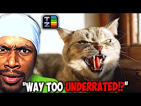 House Cats Are The Most OP Animals You Didn’t Expect