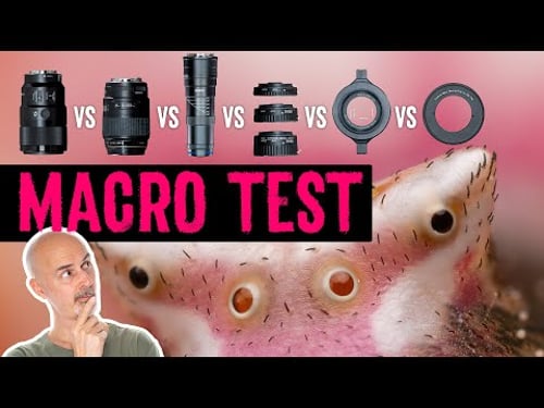 BEST Macro Tools 2023 ||| Extension Tubes vs Reverse Mount vs Macro Lens vs Raynox