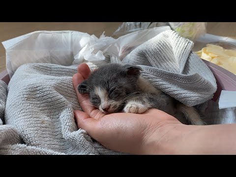 후회해도 되돌아갈 수 없다.