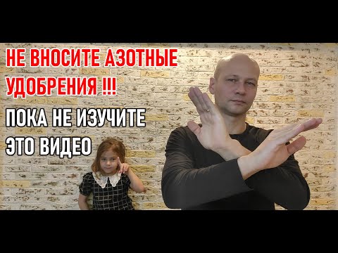 Азотное питание культур от А до Я
