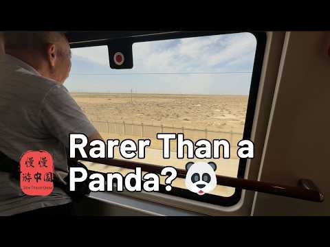 Only TWO Left in China 🚄 High-Speed Sleeper Trains (Urumqi to Xi’an)