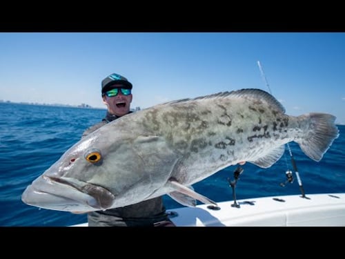 SECRET Spot was Loaded with Giants | 3 days Florida Fishing | Catch Clean Cook