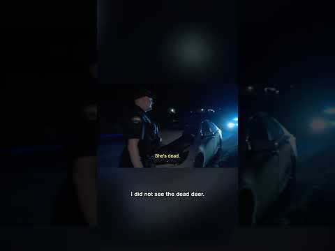 Officer Responds to Deer Collision | Ozark Law | A&E #shorts