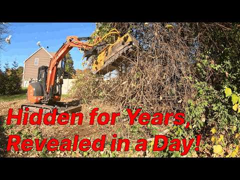 This Backyard Was Hidden Behind a Wall of Vines — Watch the Cleanup Begin