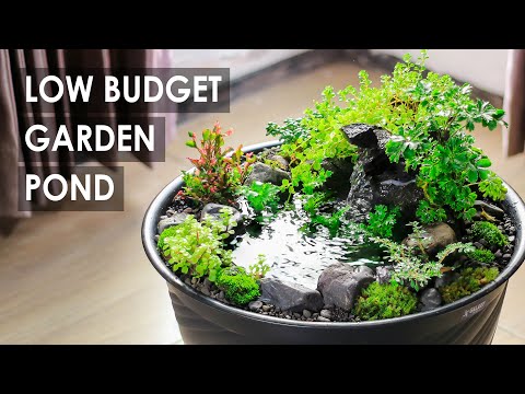 How I Made Mini Garden With Pond in A Plastic Tub