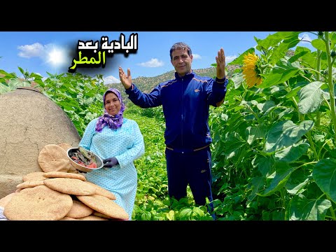 جولة في حقل الفاصولياء و تحضير الخبز الطازج في فرن تقليدي
