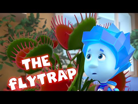 The Flytrap | The Fixies | Cartoons for kids | Learning videos