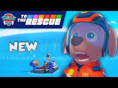 NEW! Zuma's Big Wave Rescue Ride | PAW Patrol: To The Rescue | Cartoons for Kids