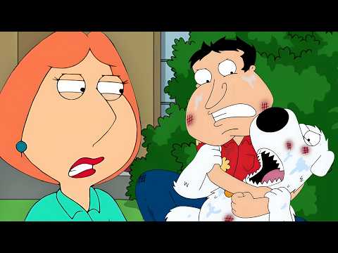 The Greatest Brian & Quagmire Fights
