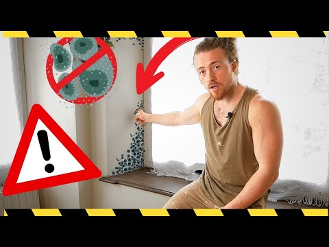 Say Goodbye to Mold Around Your Windows!