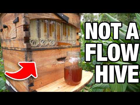 What Flow Don't Want You to Know