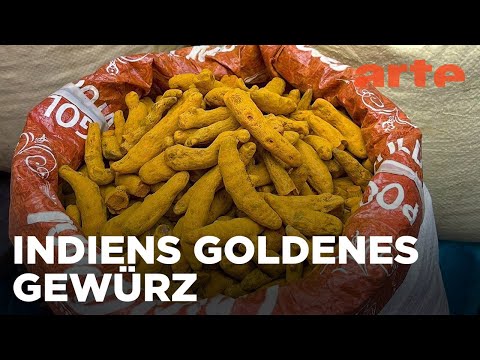 Kurkuma aus Indien | Die Welt der Gewürze | ARTE Fernweh