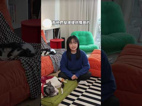 養寵物嘅你,又有無做到呢一點呢?