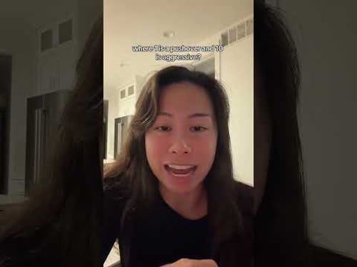 Steal this ASSERTIVE prompt chain that will blow your mind, great exercise to reflect on your use of