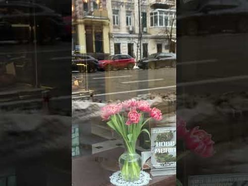 Ukraine 🇺🇦Life in Kiev. February 13, 2026. The Streets of Kiev, Ukraine. Streets Scenes.