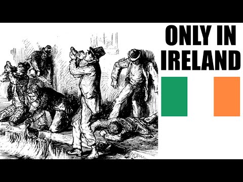 BURNING River of Whiskey Too Much to Resist, 13 Killed | Tales From the Bottle
