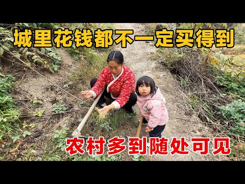 城里花钱都不一定买得到的野菜,农村随处可见,挖比吃更喜悦