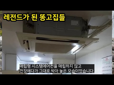 레전드가 된 똥고집들