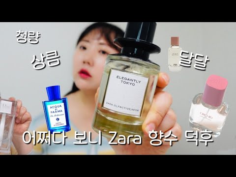 Zara | Dior | CHANEL | 찐 애정템 향수 추천