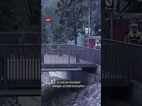 Welche Massnahmen wurden in Brienz BE vor dem Murgang getroffen? | #Shorts | Einstein | SRF Wissen