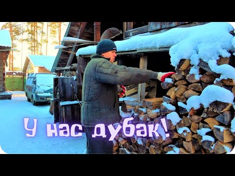 Зима разгулялась. Пришли морозы