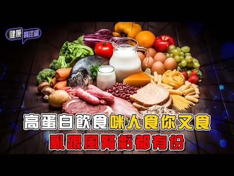 高蛋白飲食咪人食你又食 亂跟風腎虧都有份 | 健康關注組 | EP457 | 高蛋白質飲食 | 壞膽固醇 | 腸道健康 | 腎虧 | 敖嘉年 | 麥詩敏 | HOY TV 77台