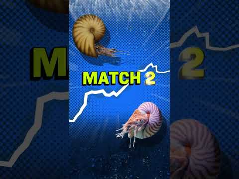 Guess Which Prehistoric Animal Survived