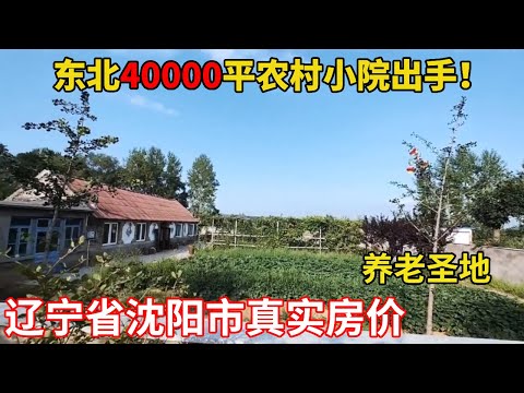 东北农村小院真实房价!送地都是最基本的,四万平院子出手太豪横【鬼头看房】