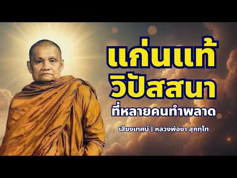 แก่นแท้วิปัสสนา… ที่หลายคนทำพลาด โดยไม่รู้ตัว | หลวงพ่อชา สุภัทโท