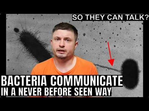 Bacteria Evolved Complex Radio Like Communication 2.7 Billion Years Ago