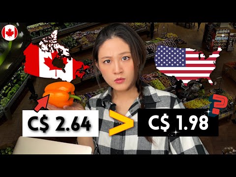 Why are groceries in Canada more expensive?🥩🍍💰
