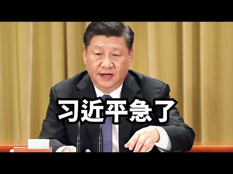 习近平急了:扩大内需是战略之举/直播精选