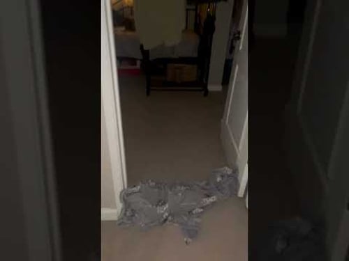 30 декабря 2025 г.