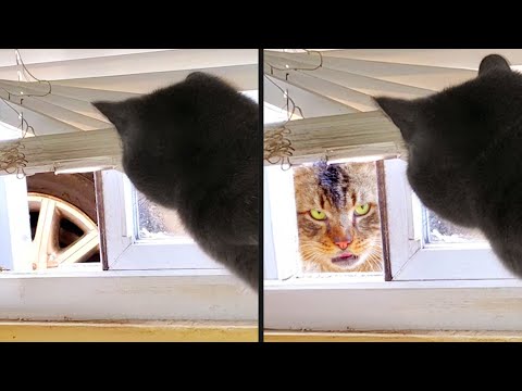 He Was Born To Be A Villain