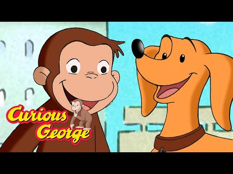 Follow That Toy! π΅ Curious George π΅ Kids Cartoon π΅ Kids Movies