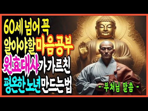 60세 넘어 꼭 알아야할 마음공부 원효대사가 가르치는 평온한 노년 만드는 법 부처님 말씀 신라시대 법문 일심 나무아미타불