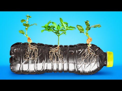 39 TRUCOS GENIALES PARA HACER QUE TODOS ENVIDIEN TU JARDÍN