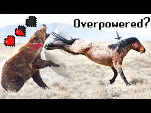 Are Horses Overpowered?