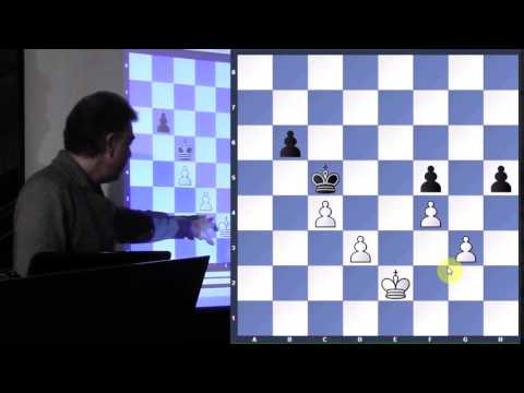 King and Pawn Endgames - GM Yasser Seirawan - 2015.02.24